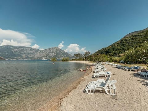 Bobana Apartments Apartment in Kotor Municipality