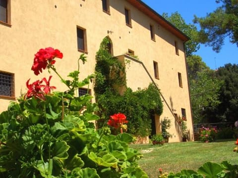 Agriturismo Lupo Vecchio Farm Stay in Tuscany