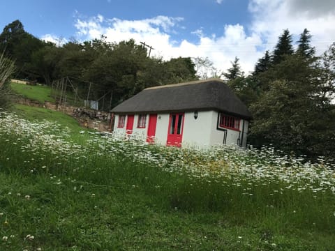 Spring, Garden view