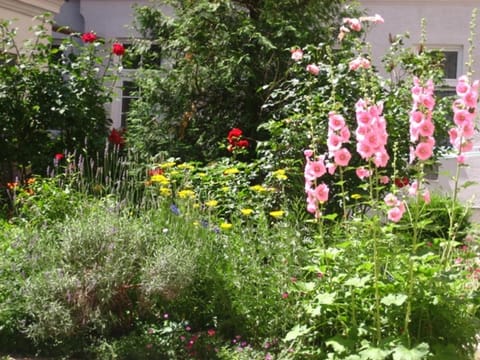 Facade/entrance, Garden view