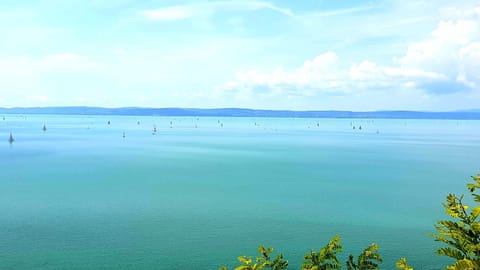 Natural landscape, Beach, Lake view