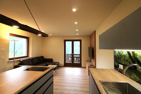 TV and multimedia, Kitchen or kitchenette, Living room, Seating area, Dining area
