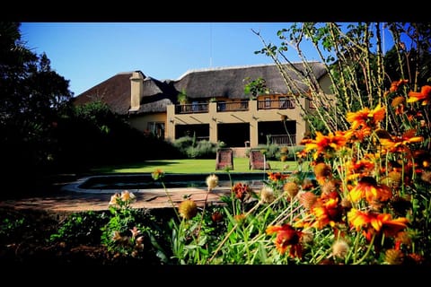 Property building, Day, Garden, Swimming pool