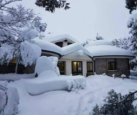 Winter