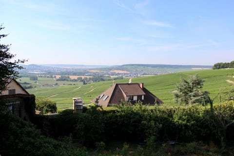 Neighbourhood, Natural landscape, Hiking, Landmark view