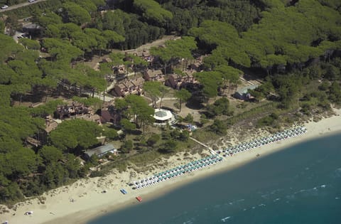 Day, Bird's eye view