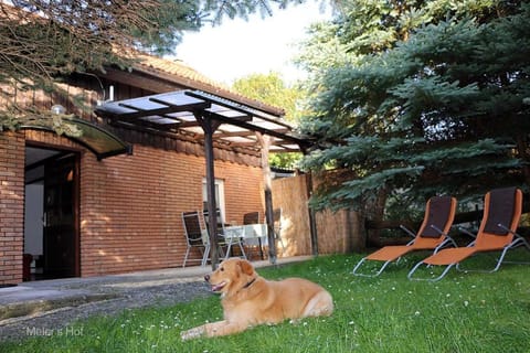 Facade/entrance, Garden, Pets