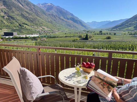 Natural landscape, View (from property/room), Balcony/Terrace, Mountain view