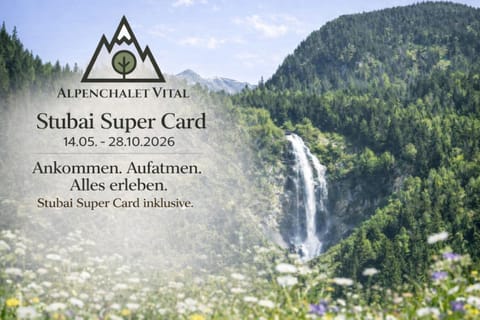 Alpenchalet Vital Apartment in Neustift im Stubaital