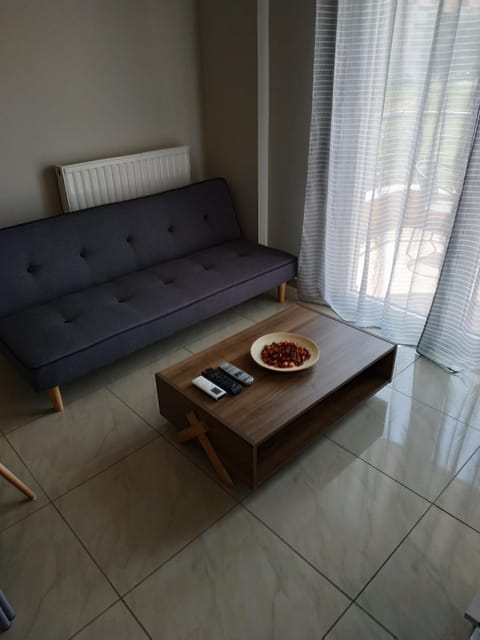 ΔΙΑΜΕΡΙΣΜΑ ΣΤΟ ΛΙΤΟΧΩΡΟ ΜΕ ΕΚΠΛΗΚΤΙΚΗ ΘΕΑ Apartment in Litochoro