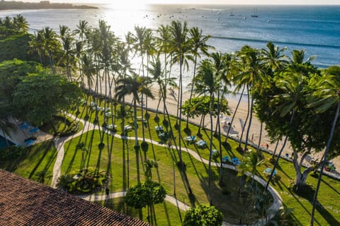 Bird's eye view, Garden, Sunset, sunbed