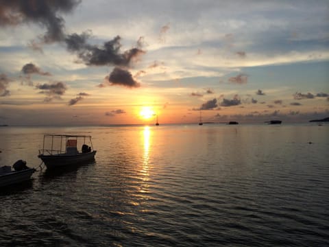On site, Sports, Sunset