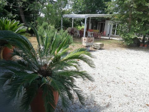 Property building, Garden