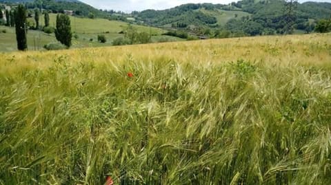Casa Vacanze Campo d'Arco House in Umbria