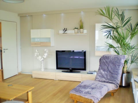 Living room, Photo of the whole room, Decorative detail