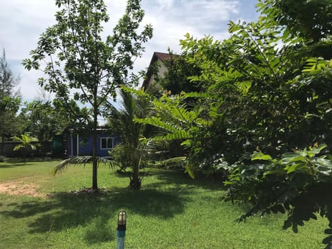 Natural landscape, Garden, Garden view