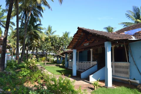 Garden view