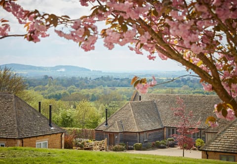 The Fish Hotel Hotel in Broadway