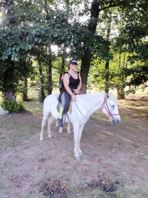 Kuća Dragović Apartman Hostel in Montenegro