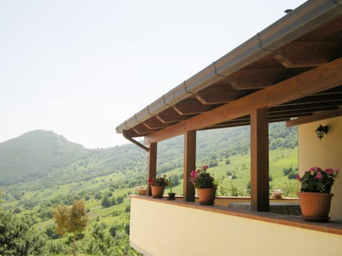 Balcony/Terrace, Mountain view