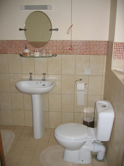 The Horseshoe Guesthouse Bed and Breakfast in Rhayader