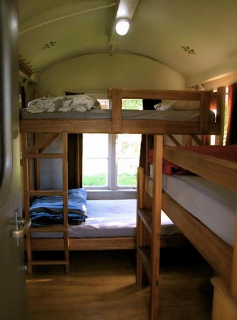 Solscape Nature lodge in Raglan