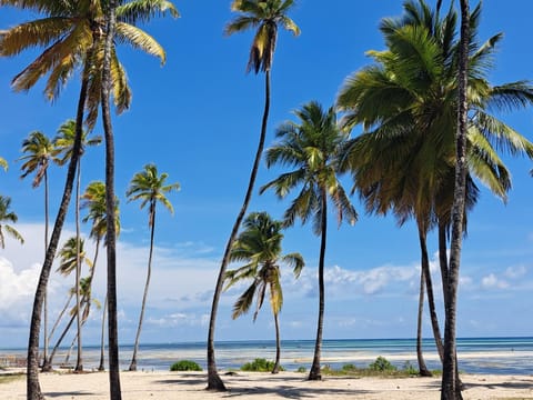 Nearby landmark, Day, Natural landscape, Beach, Sea view