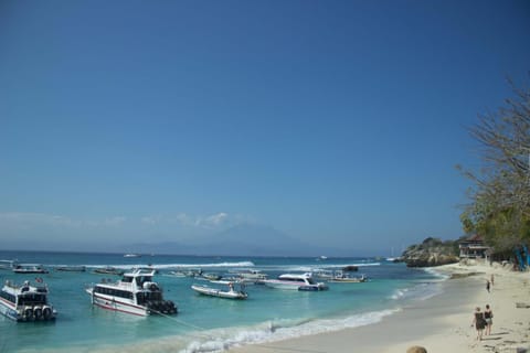 Natural landscape, Beach, Sea view