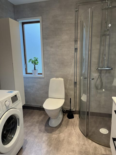 Shower, Toilet, Bathroom, washing machine