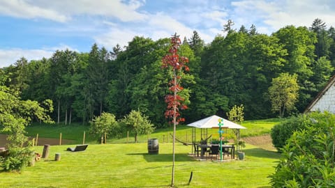 Natural landscape, Garden, Garden view