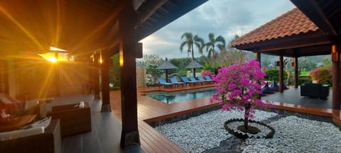 Garden, Garden view, Pool view, Swimming pool
