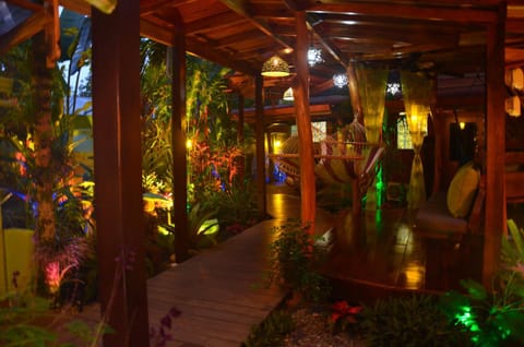 Night, Garden