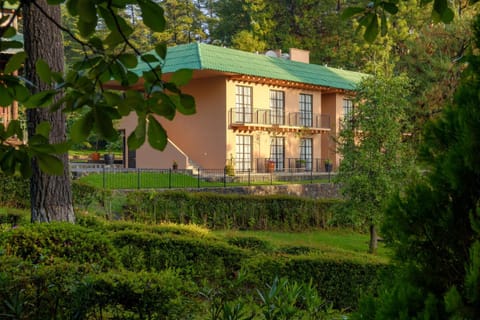 Natural landscape, Garden, Garden view