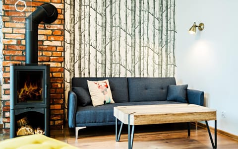 Living room, Photo of the whole room, Decorative detail, Seating area, fireplace