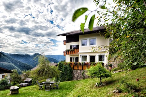 Property building, Day, Garden