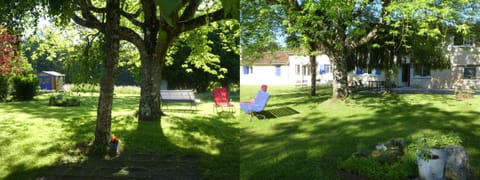 Spring, Day, Natural landscape, Garden, Garden view