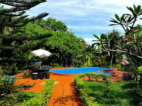 Garden, Garden view, Pool view, Swimming pool