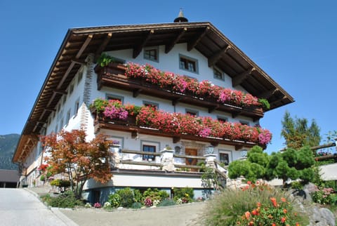 Property building, Summer