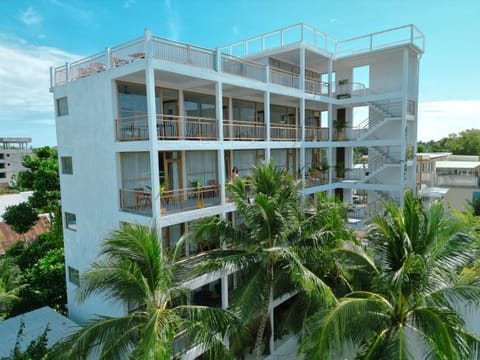 Property building, Garden view