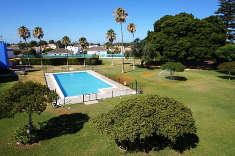 Garden, Swimming pool