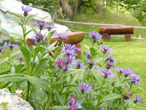 BBQ facilities, Garden, Balcony/Terrace, Mountain view