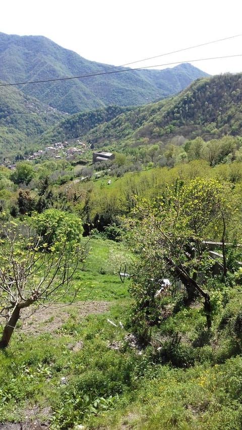 View (from property/room), On site, Mountain view