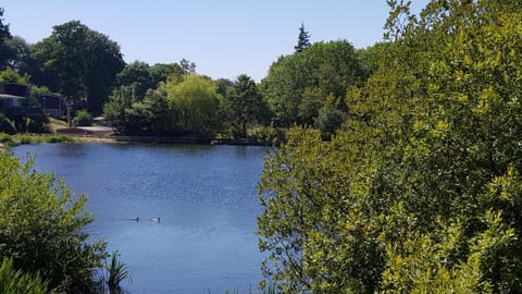 View (from property/room), Lake view