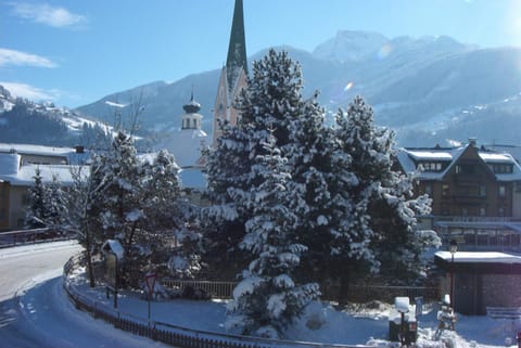 Winter, View (from property/room)