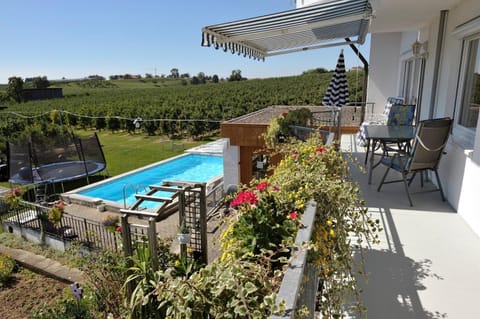 Property building, Living room, Swimming pool