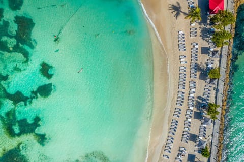 Bird's eye view, Beach