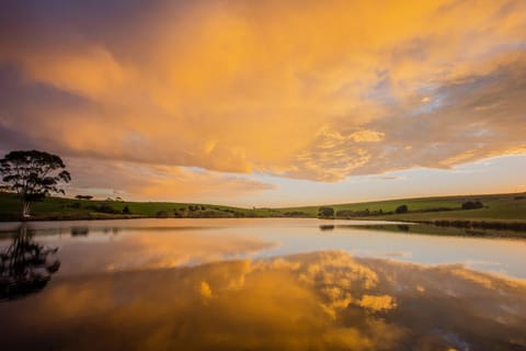 Fishing, View (from property/room)