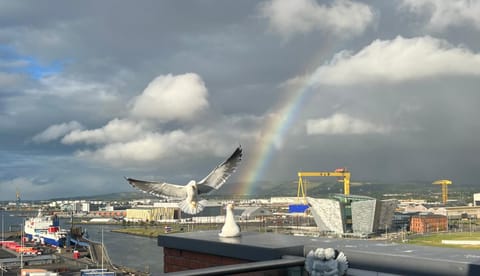 James Clow Bed & Breakfast Bed and Breakfast in Belfast