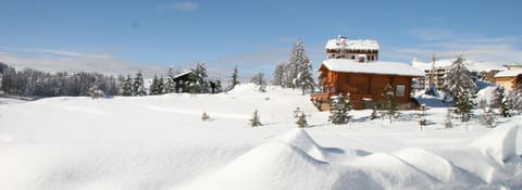 Natural landscape, Winter