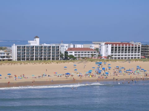 Bird's eye view, Beach